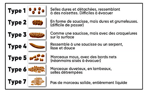 Quand La Constipation Pousse Bout AlloDocteurs