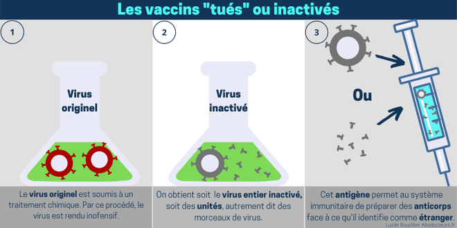 INFOGRAPHIE - On Vous Explique Le Fonctionnement Des Différents Types ...