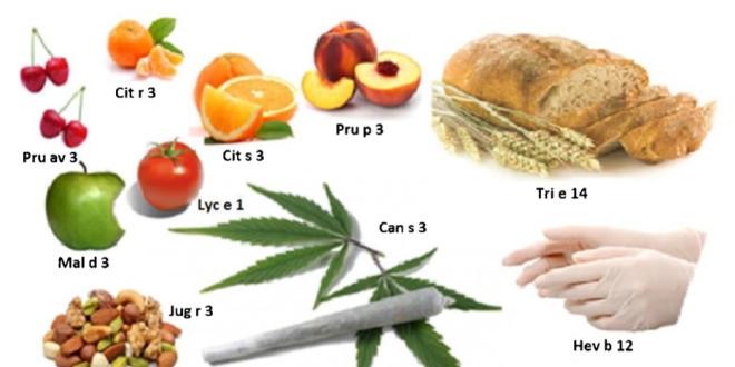 Aliments et produits de consommation contenant des allergènes proches de ceux présents dans le cannabis, avec le nom de l'allergène (source : Revue française d'allergologie)