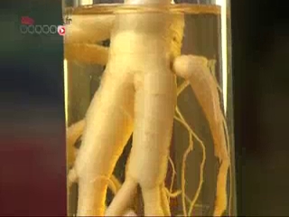 Le ginseng est la star des plantes qui redonnent du tonus.
