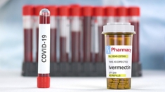 Vrai/Faux : l’ivermectine est-elle efficace contre le Covid ?