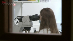 Comment des laboratoires traquent les nouveaux variants du coronavirus