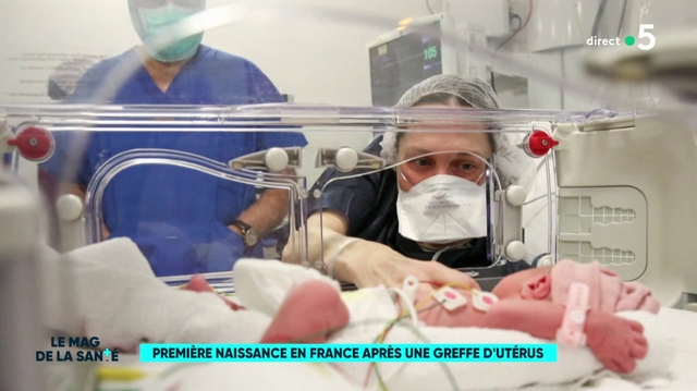 Greffe d'utérus : première naissance en France