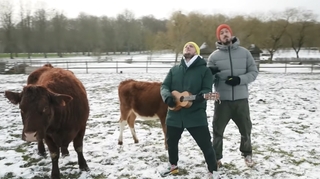 Gestes barrières : McFly et Carlito relèvent le défi d'Emmanuel Macron