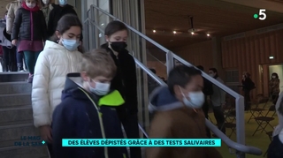 Tests salivaires : 350 élèves participent à une campagne dans une école de Bourg-la-Reine