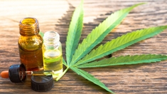 Cannabis médical : début des premières consultations