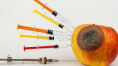 Foodwatch dénonce des fraudes dans les aliments des Européens