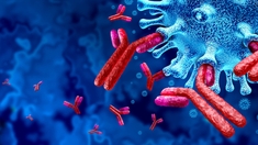 Les vaccins Pfizer et Moderna efficaces contre le variant indien