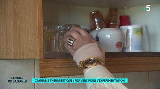 Début de l’expérimentation du cannabis thérapeutique en France