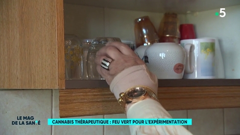 Début de l’expérimentation du cannabis thérapeutique en France