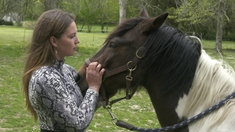 Enquête de santé : Ces animaux qui nous soignent, ce soir sur France 5