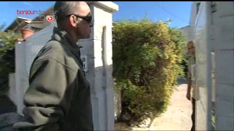 Moustique tigre : portrait d'un insecte envahissant et agressif - Reportage vidéo du 3 mars 2011
