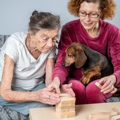 Apaiser les malades d’Alzheimer grâce aux chiens