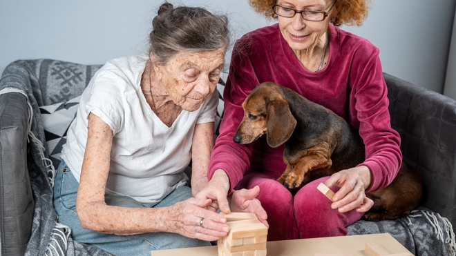 Apaiser les malades d’Alzheimer grâce aux chiens