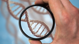 Syndrome de duplication du gène MECP2 : une maladie génétique rare