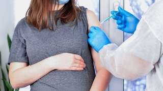 Coqueluche : la vaccination pendant la grossesse permet de protéger le nouveau-né