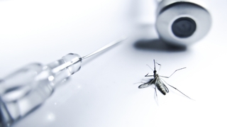 L'OMS valide le premier vaccin contre le paludisme pour les enfants