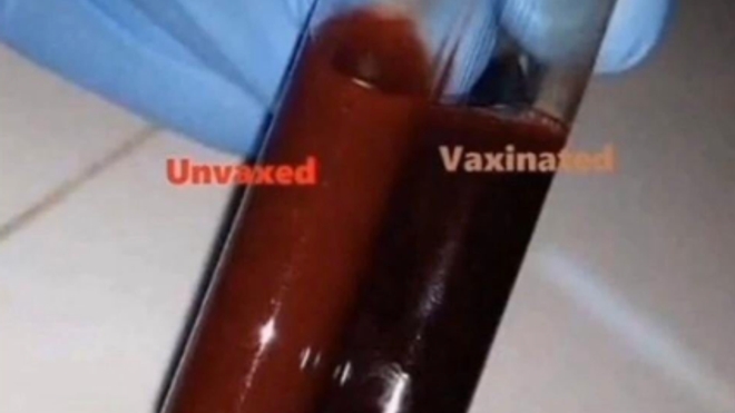 PureBlood : non, le vaccin anti-Covid ne pollue pas votre sang -  AlloDocteurs