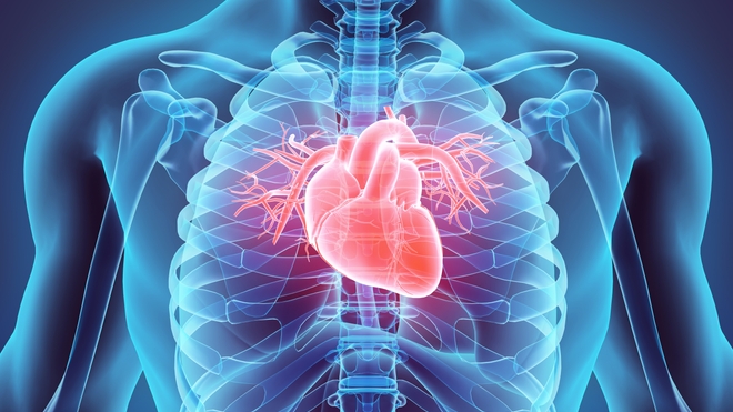 Amylose cardiaque : une maladie peu connue