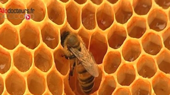 Les vertus thérapeutiques du miel