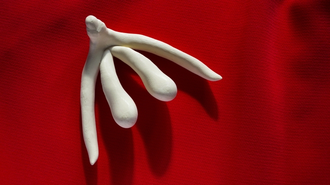 Clitoris : savez-vous quelle zone réagit dans le cerveau quand on le stimule ?