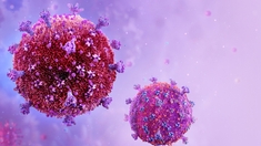 VIH : des chercheurs ont identifié un nouveau variant plus virulent aux Pays-Bas