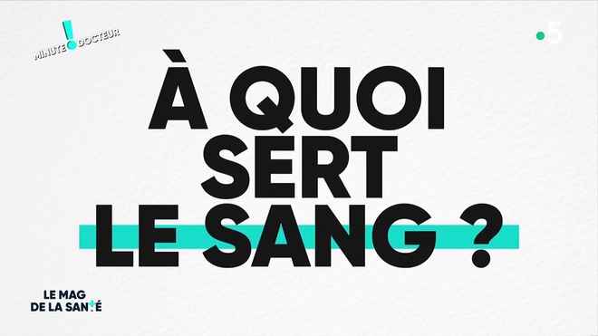 A quoi sert le sang ?