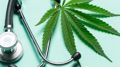 À quand remonte l’usage thérapeutique du cannabis ?