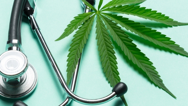 À quand remonte l’usage thérapeutique du cannabis ?