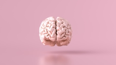 Cerveau : un don pour faire avancer la recherche