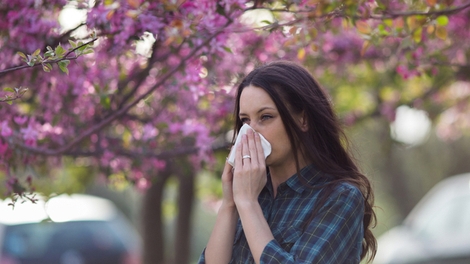 Réchauffement climatique et allergies au pollen : la double peine  ?  