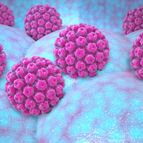 HPV : tout savoir sur les papillomavirus