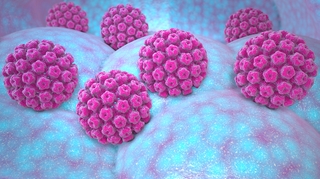 HPV : tout savoir sur les papillomavirus