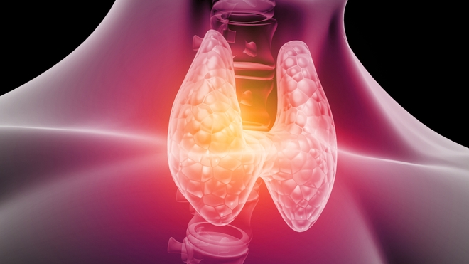 Cancer de la thyroïde : chirurgie, iode et scintigraphie