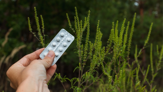 Des comprimés d'antihistaminiques devant des plantes et du pollen