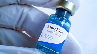 Comment la morphine a-t-elle été découverte ?  