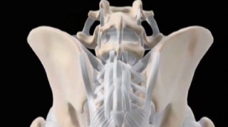 Douleurs dans le dos ou le ventre : et si c'était le syndrome de Maigne ?