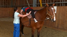 Equithérapie : une réeducation au contact des chevaux