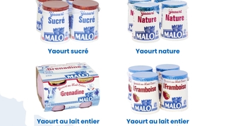 Rappel de yaourts de la marque Malo pour suspicion de E.coli