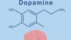 Parkinson : de la dopamine injectée directement dans le cerveau