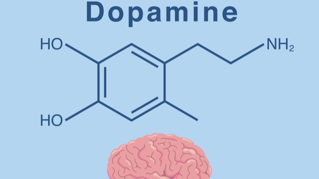 Parkinson : de la dopamine injectée directement dans le cerveau
