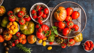 Quelles sont les vertus de la tomate pour la santé ?
