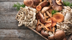 Comment bien cuisiner les champignons ?