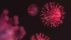 Quel est ce nouveau virus proche du VIH "sur le point de se propager" aux humains ?