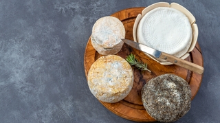 Encéphalite à tiques : une transmission par les fromages au lait cru ?