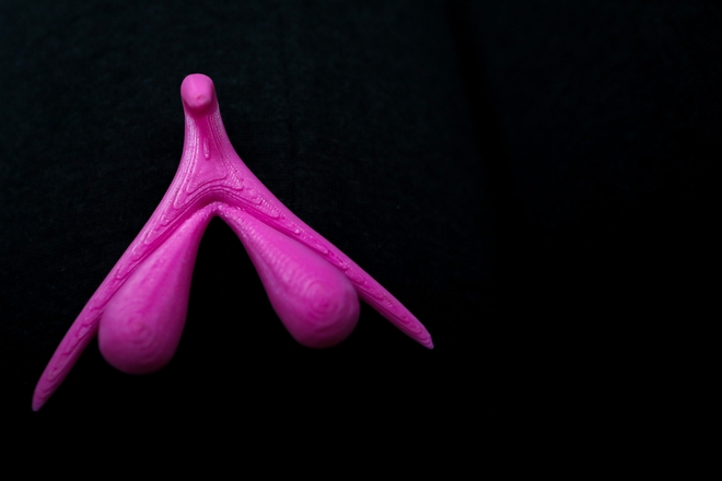 Le clitoris est l'organe du plaisir féminin