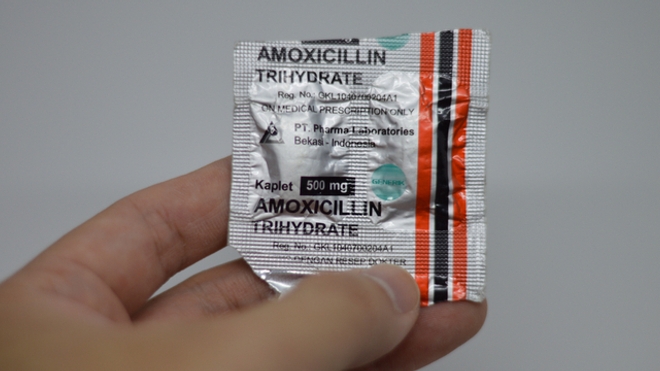 L'amoxicilline est l'antibiotique le plus prescrit en France