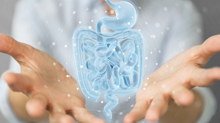 Quel est le lien entre la maladie de Crohn et la peste noire ?