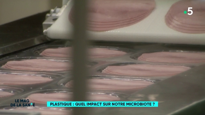 Plastique : quel impact sur notre microbiote ?