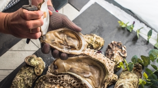 Comment déguster vos huîtres en toute sécurité ?